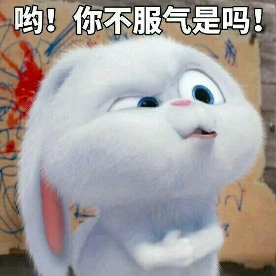 可爱小兔子表情（03.06）