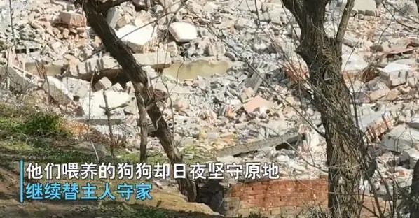 主人拆迁后举家搬离，留下汪在原地等候：什么时候回来接我？