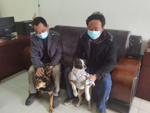 春暖花开，＠养狗人，这件事别忘记～