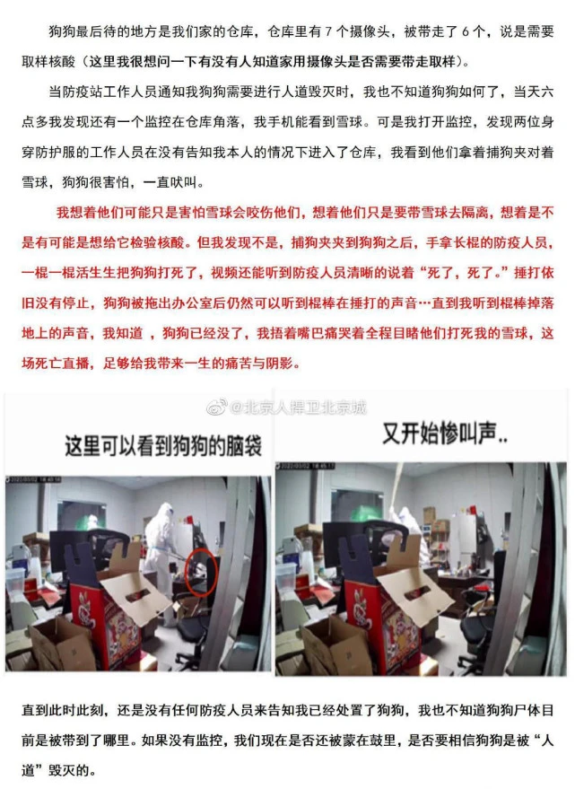 从上饶县撬锁杀狗案到惠东县入门杀狗案，背后的问题让人深思