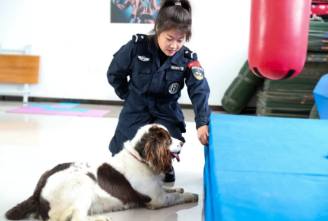 把自己的鸡蛋留给狗？这个“脏兮兮”的女孩真实身份是……