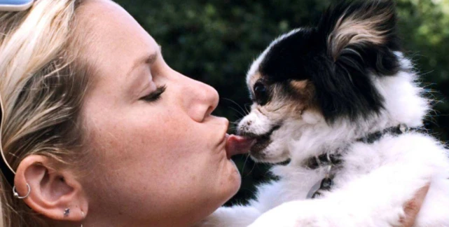 如何用“一句话”证明你在养狗？网友的回答笑喷了！