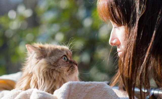 主人模仿猫咪“喵喵叫”，在它们眼中竟是这样的