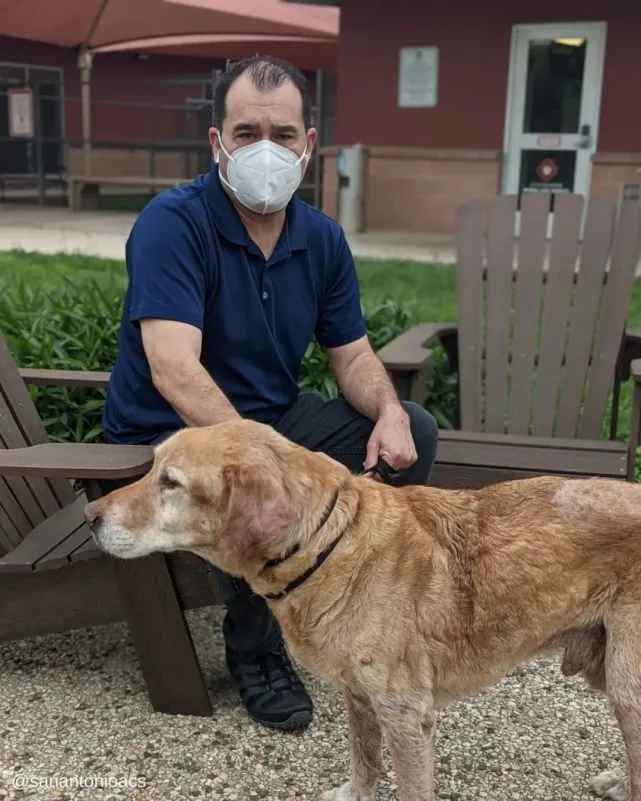 为了测试主人会不会变心，狗狗故意走失多年，终于…逮到了！