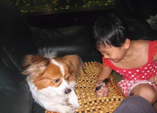 “一只狗的十八年！”网友与狗狗16年的回忆录，被疯狂转发，感动数万网友