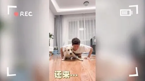 范可新带着狗狗一起做俯卧撑 网友直呼“太可爱了”
