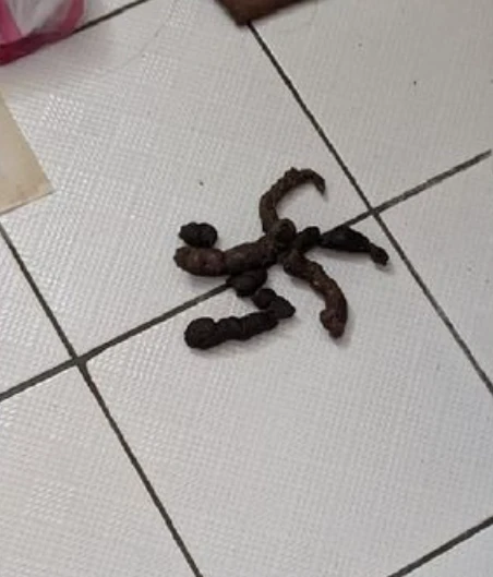 厕所出现一个神秘五角符号，主人蹲下仔细一看……是狗屎！