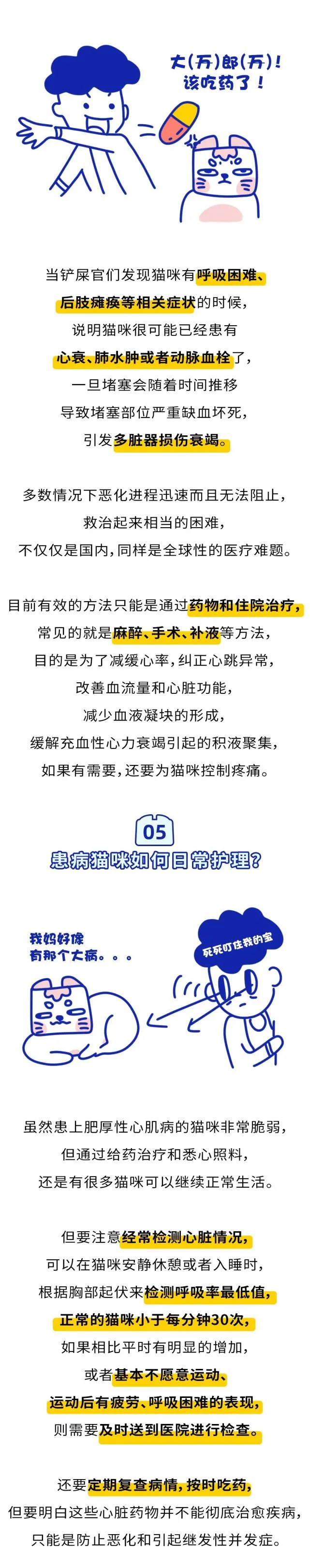 为什么把猫肥厚性心肌病称为“沉默的杀手”？