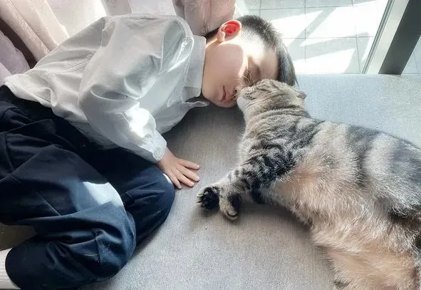 猫趣｜备受宠爱的猫咪突然行为异常，幸好发现及时，救回了一条猫命