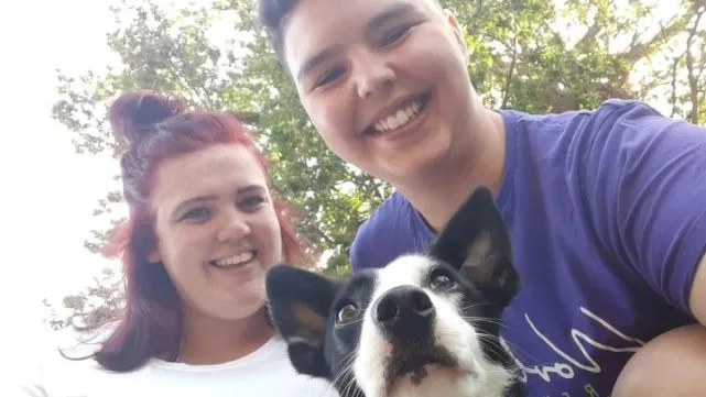 狗狗外出和主人失散，居然自己坐公交回家了，果然边牧不是狗