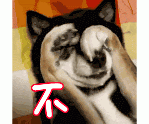 这个世界上，存在“不拆家”的狗狗吗？