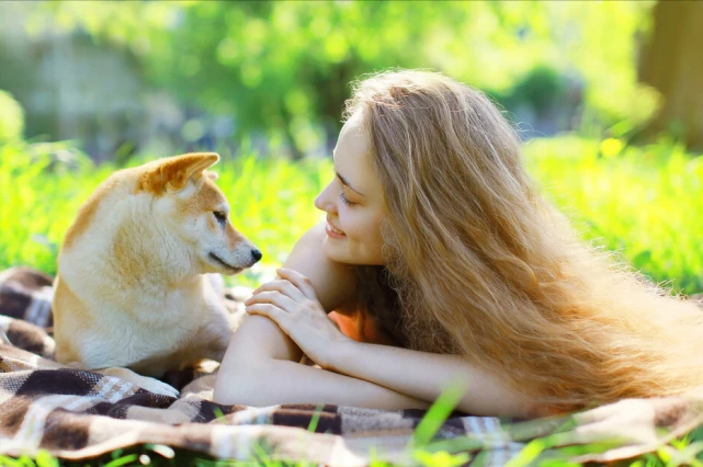 狗狗怎么分辨主人？主要是通过这5个方法