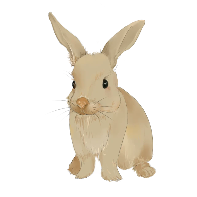 兔兔死了，伤心主人给差评却成被告！法院怎么判？