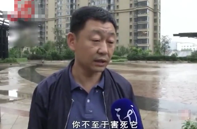 车主一怒之下毒死小区十几只狗！竟是因为业主这个行为，谁有理？