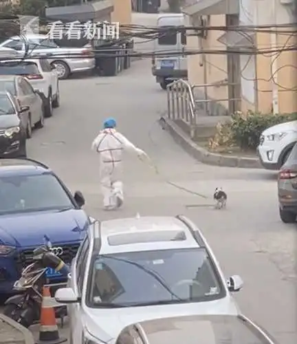 “大白”一路狂奔帮遛狗 网友：拉到角落里做核酸