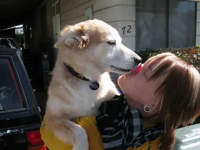 如果可以和狗狗沟通，你最想告诉你的狗哪些事？