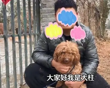 狗肉馆里的一只泰迪，冲着路人不停作揖：可以帮帮我吗？