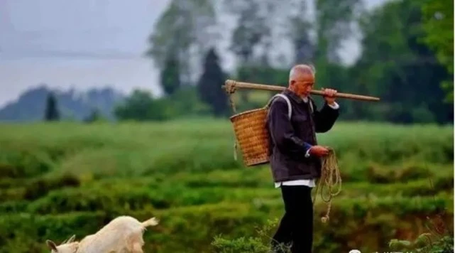 俗语所说的“三不问，四不吃，五不摸”，指的是啥呢？看完明白了