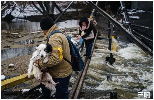悲伤且讽刺，红十字会和国际人道协会联手援助乌克兰战场上的宠物