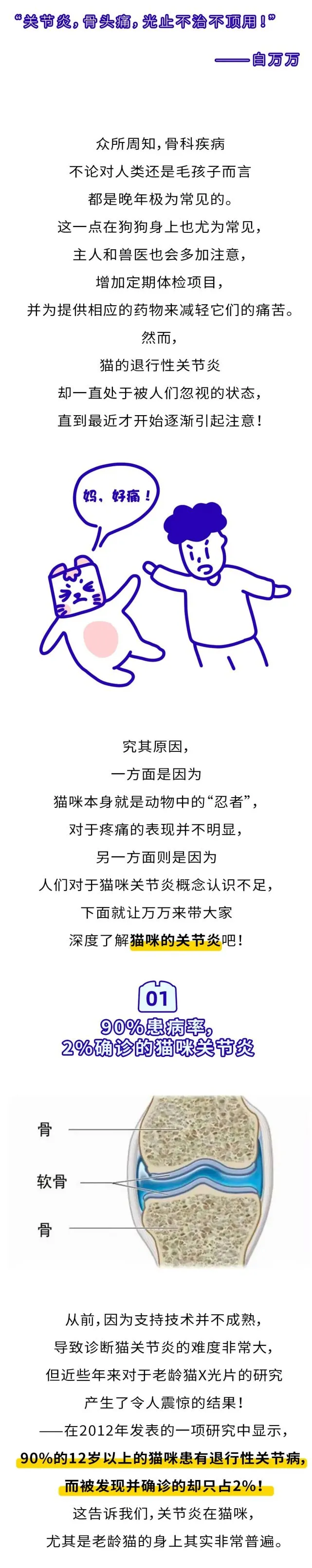 90％以上患病率却只有2％确诊！“忍者”也难忍的猫咪关节炎
