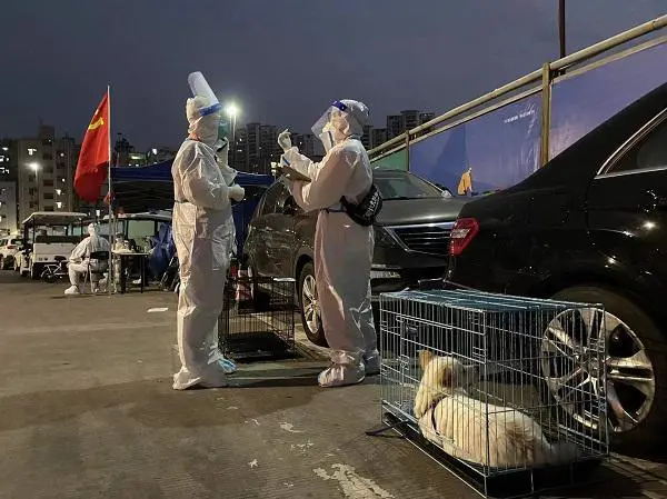 深晚记者直击！上沙塘晏村集中转运居民的宠物将在安全地带“小住”