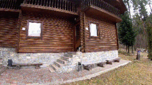 主人躲避战火远走他乡，没给爱犬留后路，狗狗独守家门一月没逃走