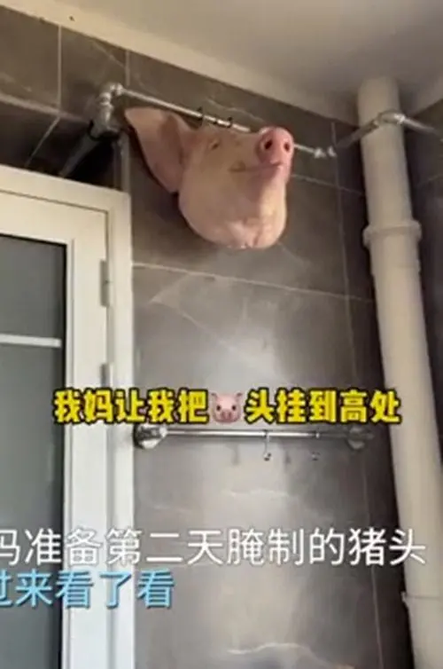 深夜里厨房传来声响，小姐姐开灯后都语塞了：小猫咪也太馋了吧？