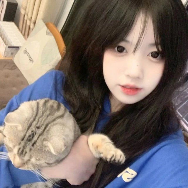 Cry Bear女头｜女头＋挂公司短句