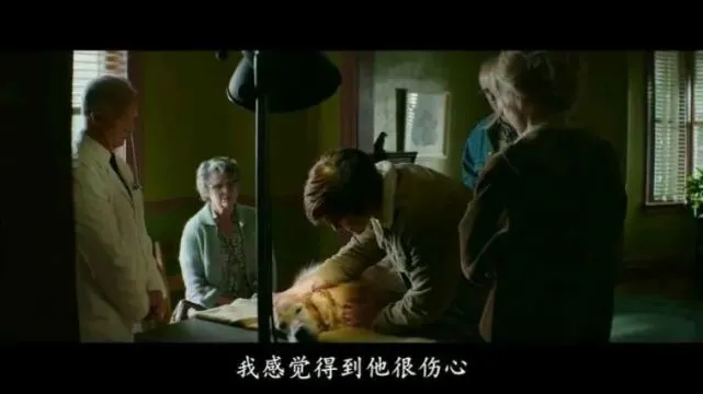 最爱的狗狗走了，我该如何和它告别？