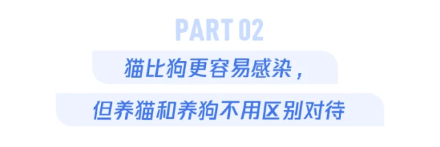 宠物也可能感染新冠！家里养猫养狗，这3件事一定要知道