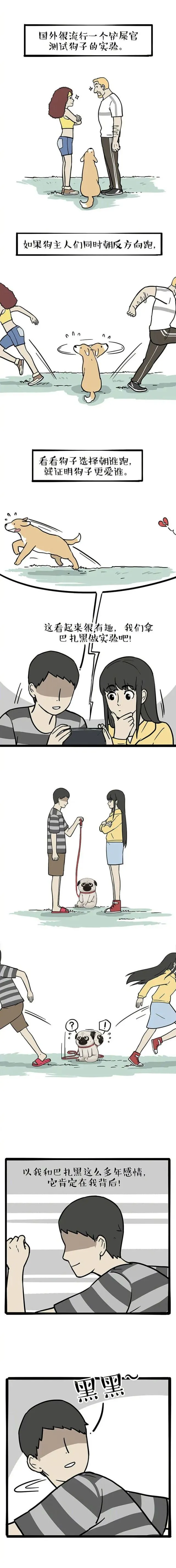 这狗狗没白养～