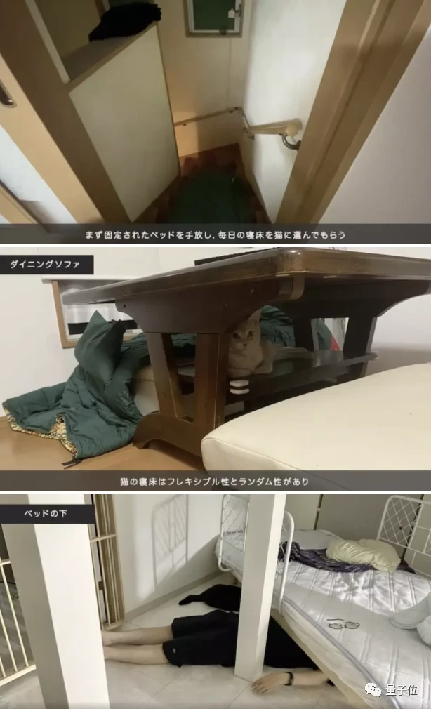 日本搞笑研究：猫睡哪我睡哪，居然对睡眠质量没影响，还有这4点好处？