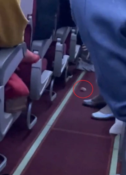 郑州飞往大连航班，客舱里“仓鼠乱窜”？回应来了