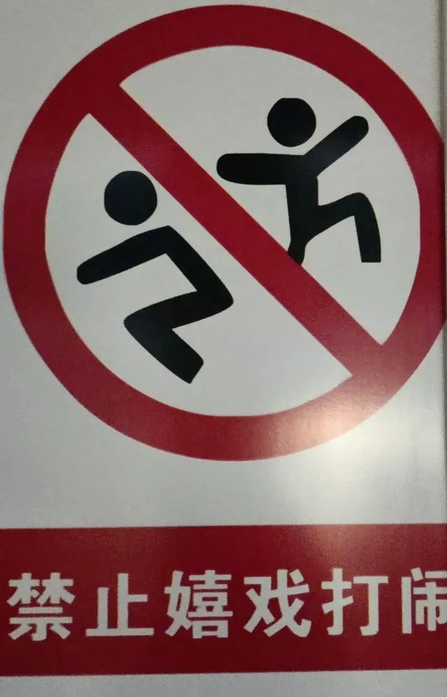 “狗狗”美食。