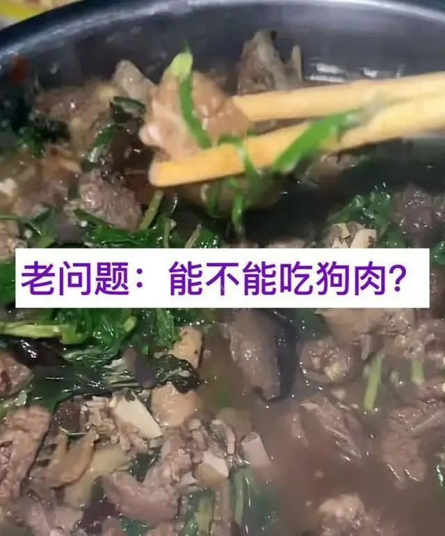 男子将自己养的狗炖成狗肉，还拍视频炫耀，被网友指责没有人情味