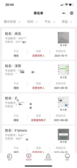 800元的柴犬、500元的布偶猫，我来到了宠物们的“人间炼狱”