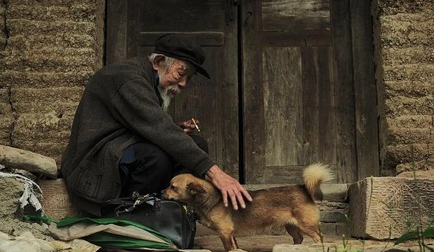 农村俗语“老狗不死家”，奇怪，土狗临死前会离家出走，为什么？