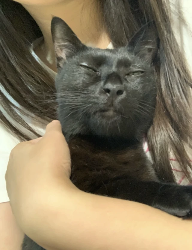 为了拍清黑猫，把手机调到曝光后…猫：“谢谢，我还是黑点吧”