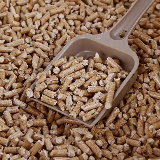 【百航报关】猫砂的进口报关清关流程