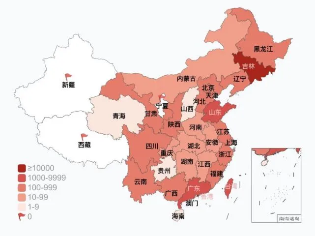 疫情之下，我们能为毛孩子做些什么？