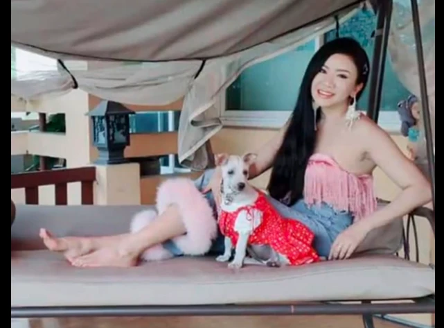 女孩救了只陷入泥坑的小狗，竟给自己带来意外惊喜，事业直线飙升