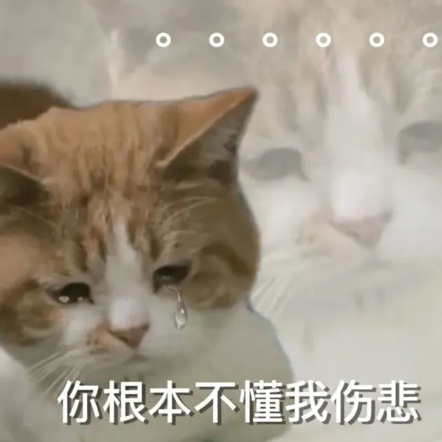 萌宠表情包｜你真的很好，不认识更好