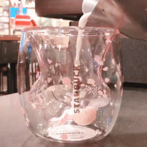 猫猫狗狗为什么总能赢得年轻人的心？