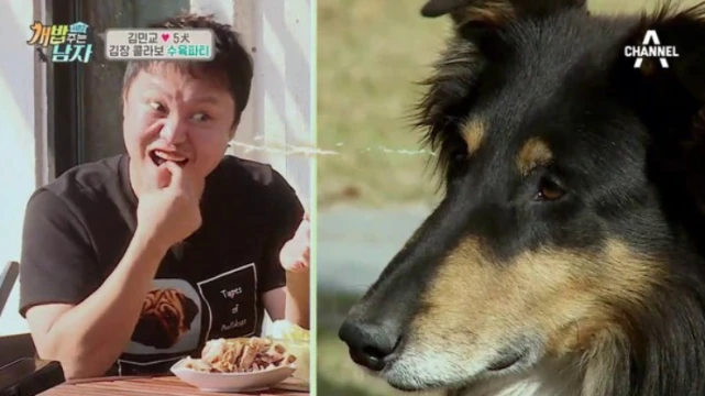 金民教违规养狗被判8个月！不绑狗绳和嘴套，致80岁老人重伤死亡