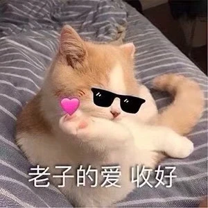 我看谁不喜欢猫猫/表情包