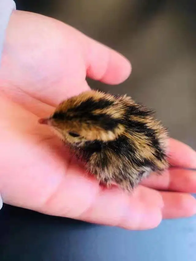 刘鲁媛｜爱的起点