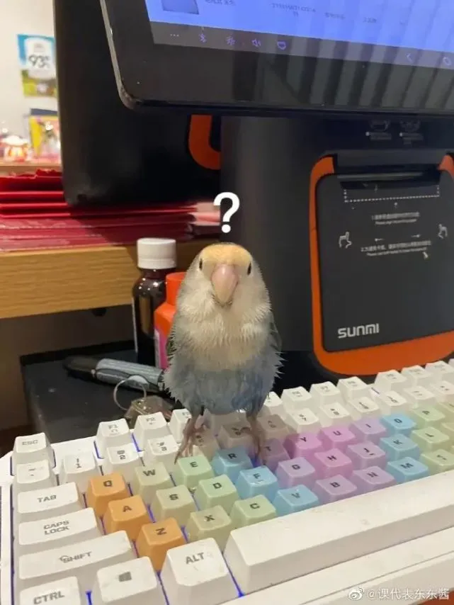 【冷兔•槽】每日一冷NO.3285