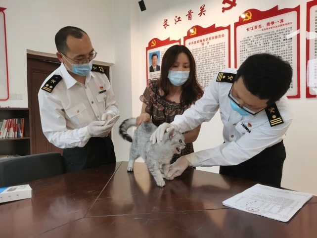 宜宾海关签发首份出境宠物“护照”