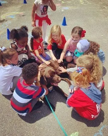 警犬宝宝在就职典礼上一睡成名，两年过去了，小睡神如今……