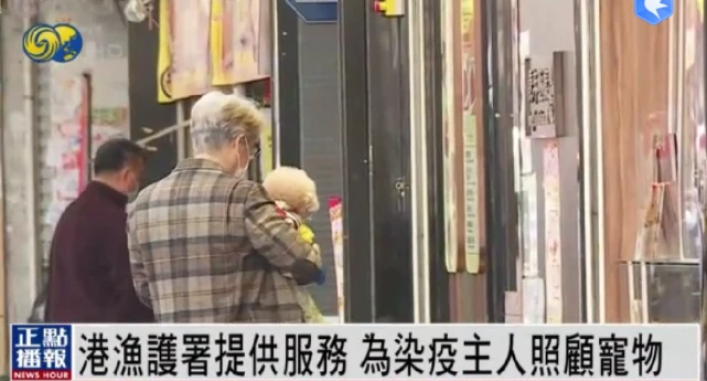 主人感染新冠病毒，家里的宠物会不会被传染？防疫上要注意什么？